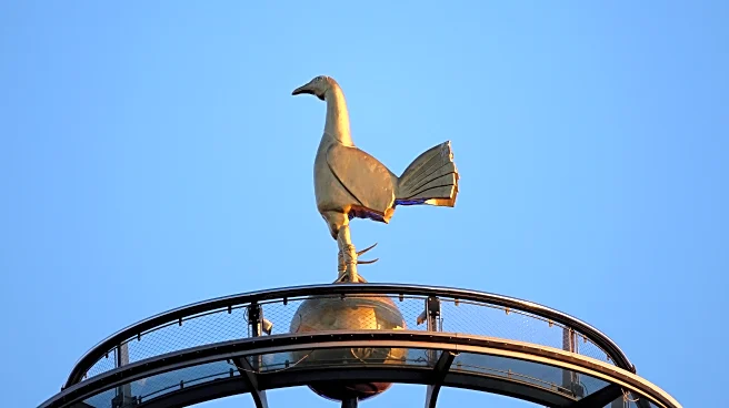 The Hoddle of Coffee: Tottenham news and links for Wednesday, August 27