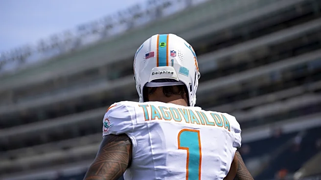 Miami Dolphins fan confidence survey – Preseason