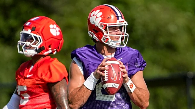 Playing Nice: Clemson