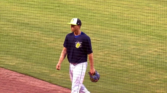 Better know a Royals prospect; Kendry Chourio