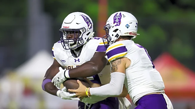 The Butcher’s Word: Albany Great Danes