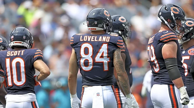 Fantasy Focus Part 2: Top 10 Bears
