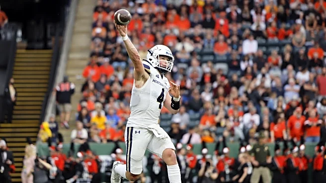 Football: Montana State odds