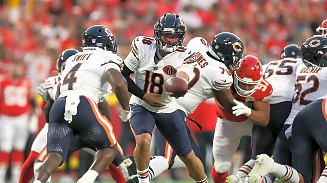 Bear Bones: Bears Roster Reactions and Season Preview