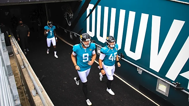 Jacksonville Jaguars All-Time Team: Vote on Special Teams Players