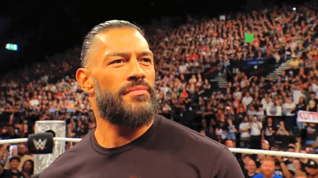 Pride and shame: Pro wrestling needs more Roman Reigns, less blood and guts