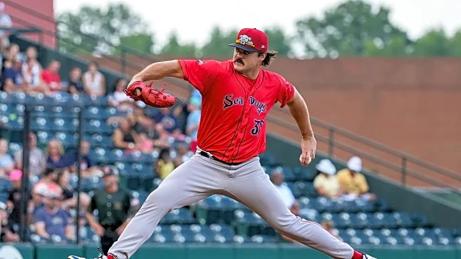 Meet the New Guy: Payton Tolle