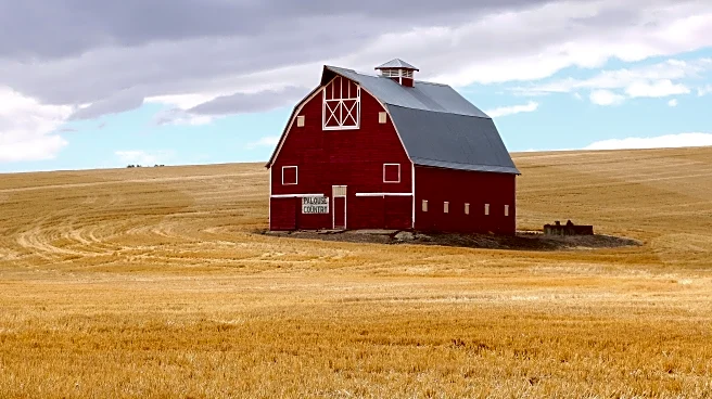 The Link Farm: 08.29.25