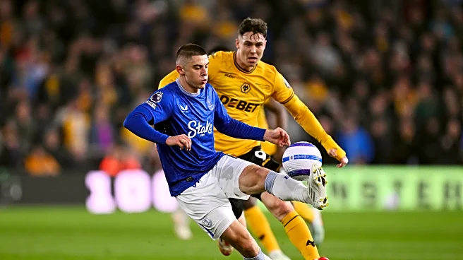 Wolves vs Everton: Match Preview | Toffees look to make it three wins in a week
