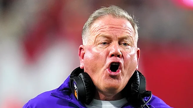 I Don’t Hate LSU; I Want Clemson to Help Them.