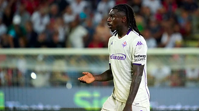 Torino vs Fiorentina: Preview