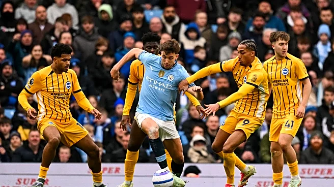 Brighton v Manchester City: Stats and Facts