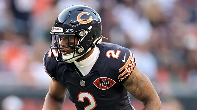 Fantasy Focus Part 3: Top 10 Bears