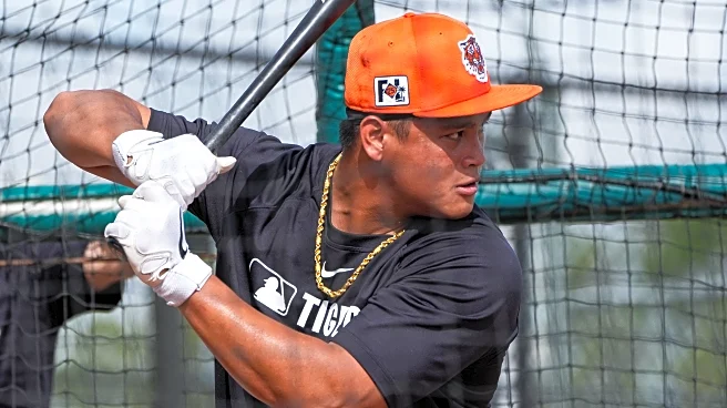 Previewing the Detroit Tigers September call-ups