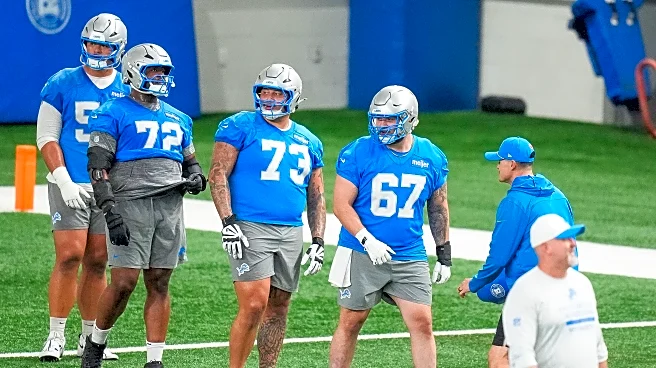 What are the Detroit Lions’ weaknesses?