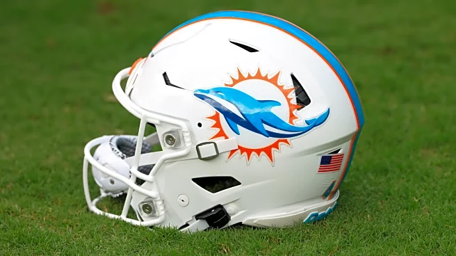 Miami Dolphins OLBs coach arrested on domestic battery charge