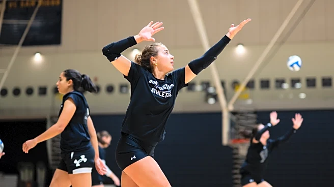 Volleyball: Northwestern sweeps season-opening tournament in San Diego