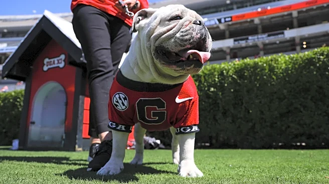 Tuesday ‘Dawg Bites: Would It Be Enough?