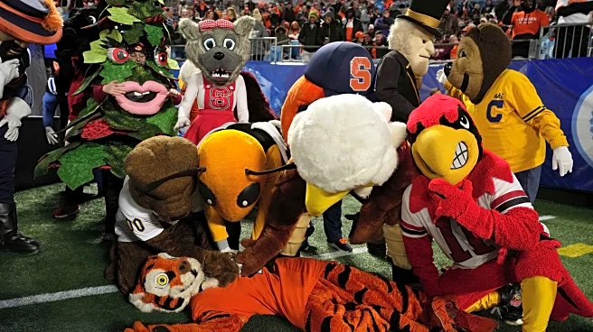 We have questions about the ACC Bobbleheads commercials