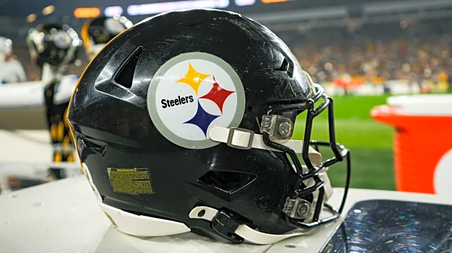 Steelers sign former Panthers linebacker