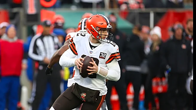 Get to know Jeff Driskel