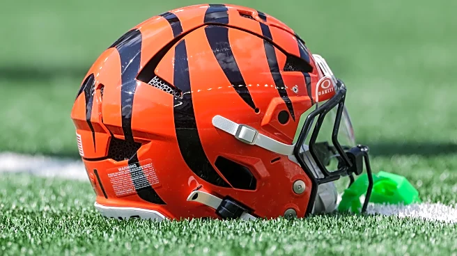 Bengals News (9/3): Analytics project AFC win totals