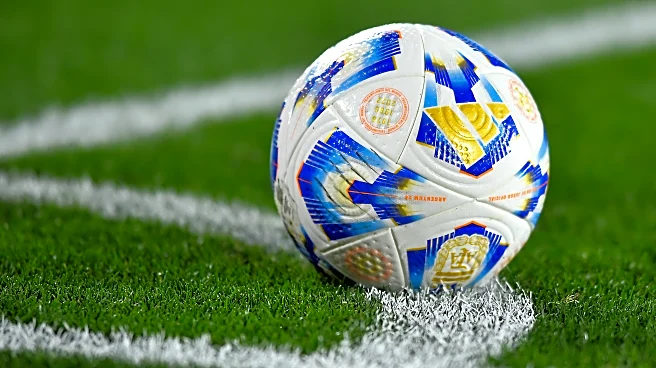 Fifteen Tottenham players on international break