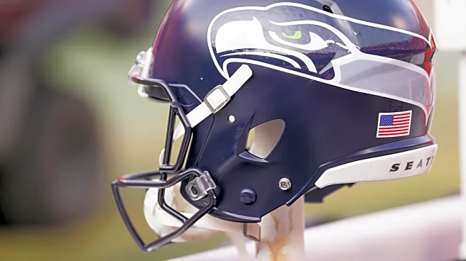 The Field Gulls roster refresher for 2025!