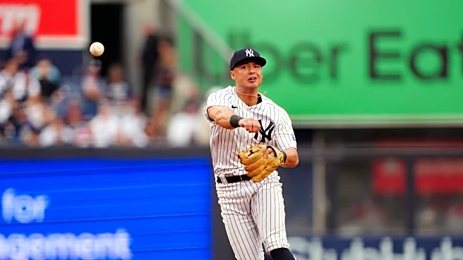 The Yankees’ top defensive plays of August