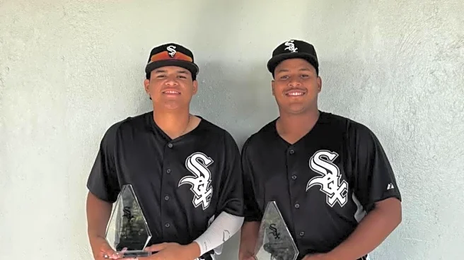 DSL White Sox 2025 Season Review