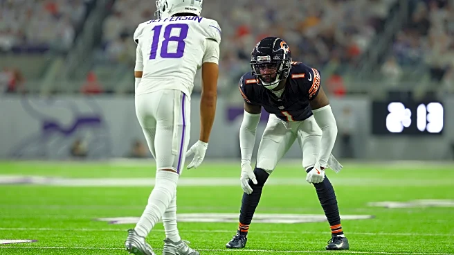 Bear Bones: Getting you ready for Bears vs Vikings