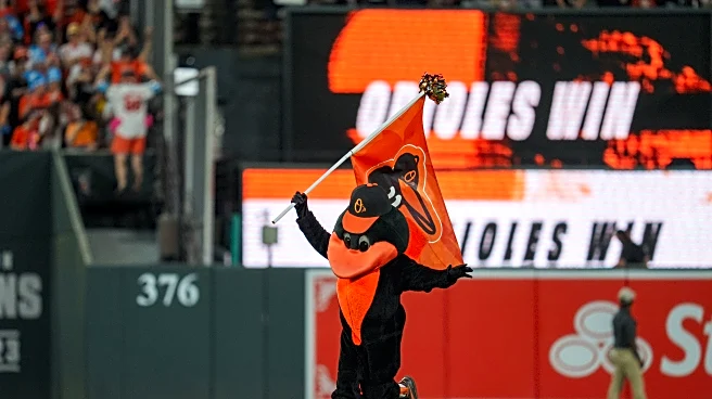 Orioles minor league recap 9/5: Nestor German earns promotion
