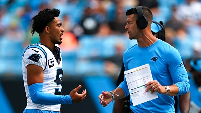 5 Questions with Cat Scratch Reader: What we learned about the Panthers