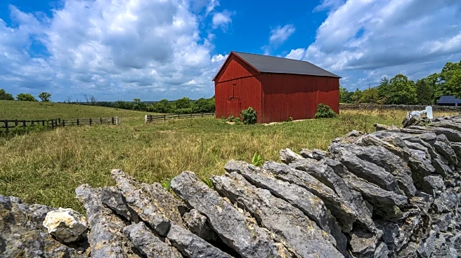 The Link Farm: 09.05.25