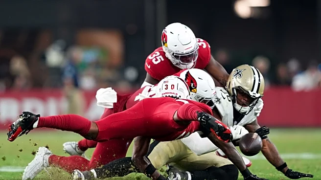 Interview with the Enemy: Arizona Cardinals