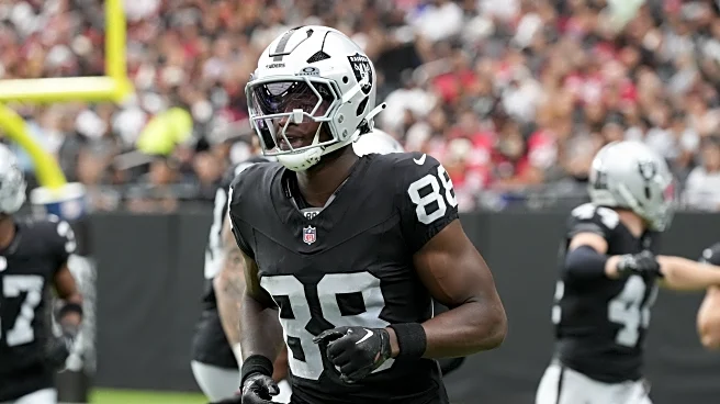 Raiders roster: Get to know Justin Shorter