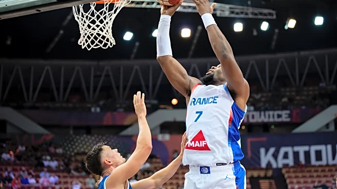 2025-26 Player Preview: Guerschon Yabusele
