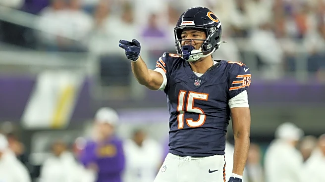 Bears vs Vikings Preview with Pat The Designer and Tyler Forness