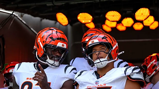 10 Bengals players to watch this season