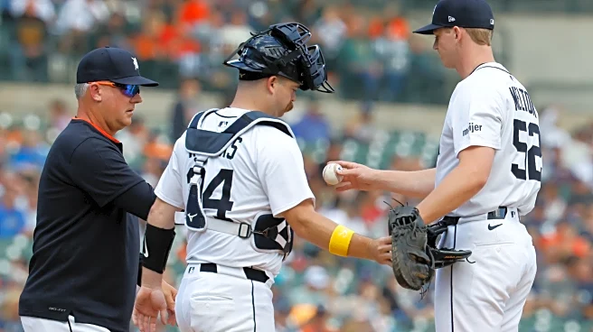 White Sox 6, Tigers 4: Disappointment in Detroit