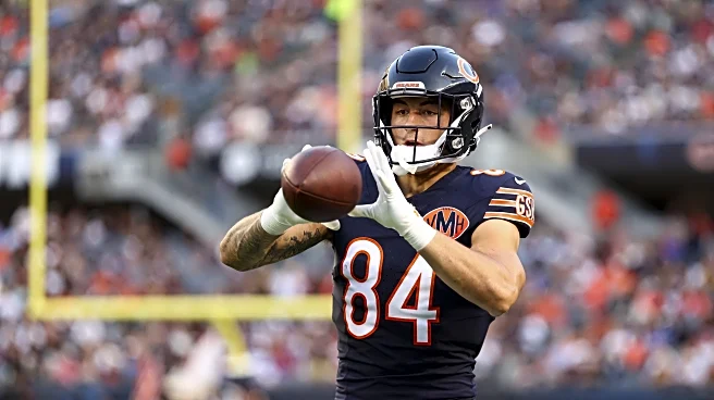 Chicago Bears vs. Minnesota Vikings: Week 1 Players to Watch