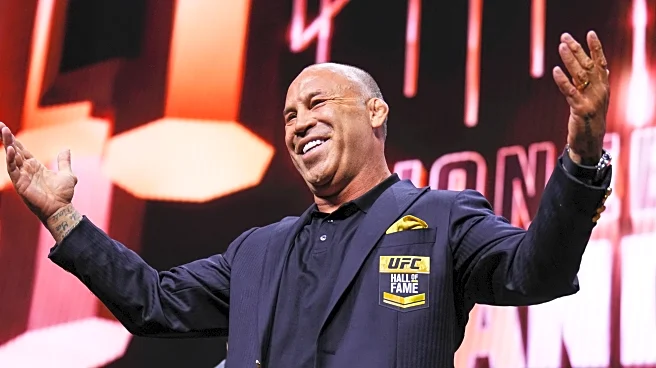 Wanderlei Silva’s Spaten Fight Night 2 replacement opponent revealed … and he’s a killer | Video