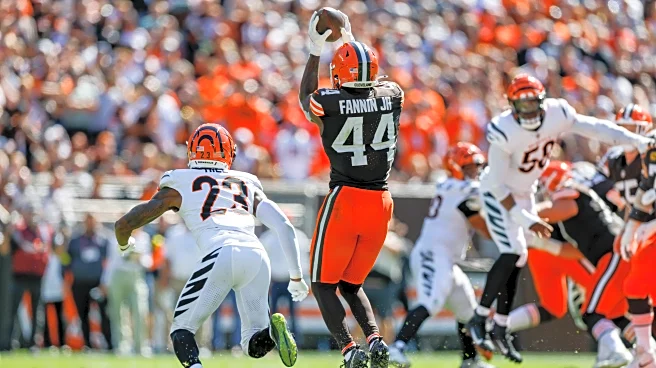 Browns TE Harold Fannin: Week 1 Film shows rookie being used all over field