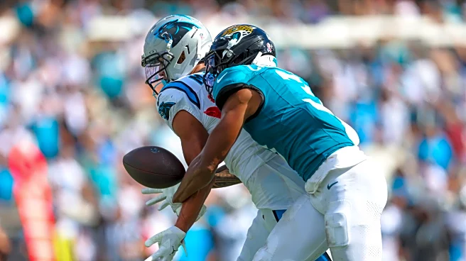 Panthers vs Jaguars game review: The plays that told the story
