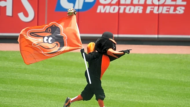 Orioles minors: Delmarva, Aberdeen seasons wind down
