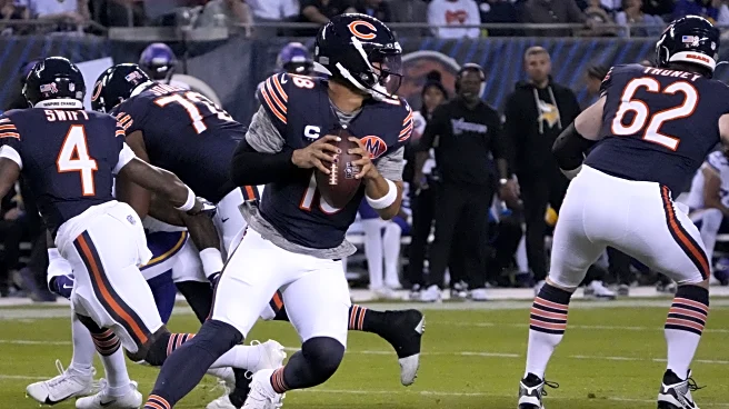 Bears vs Vikings: Inside the snap counts, stats, and more