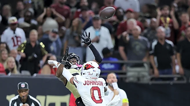 Will Johnson has a shining debut for the Arizona Cardinals