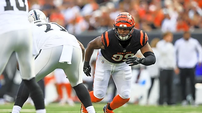 Al Golden suggests we will see more Myles Murphy in Week 2