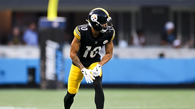 Wednesday links: Should the Steelers play Roman Wilson more?