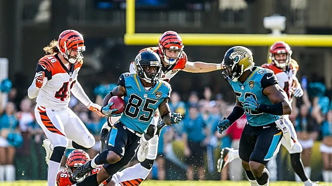Jaguars vs Bengals Matchup History: The Good, the Bad, and the Ugly